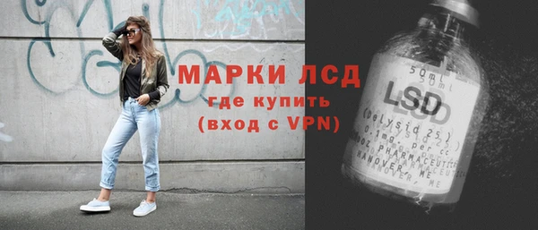прущие грибы Пенза