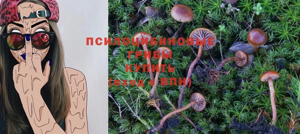 стафф Белая Холуница