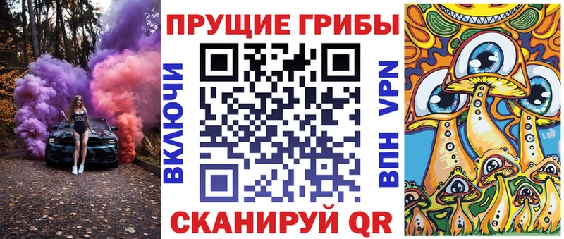 Псилоцибиновые грибы MAGIC MUSHROOMS  где найти   Торопец 